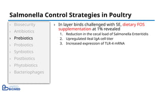 › Biosecurity
› Antibiotics
› Prebiotics
› Probiotics
› Synbiotics
› Postbiotics
› Phytobiotics
› Bacteriophages
› In layer birds challenged with SE, dietary FOS
supplementation at 1% revealed
1. Reduction in the cecal load of Salmonella Enteritidis
2. Upregulated ileal IgA cell titer
3. Increased expression of TLR-4 mRNA
Salmonella Control Strategies in Poultry
 