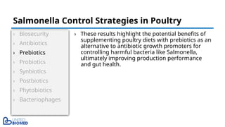 › Biosecurity
› Antibiotics
› Prebiotics
› Probiotics
› Synbiotics
› Postbiotics
› Phytobiotics
› Bacteriophages
› These results highlight the potential benefits of
supplementing poultry diets with prebiotics as an
alternative to antibiotic growth promoters for
controlling harmful bacteria like Salmonella,
ultimately improving production performance
and gut health.
Salmonella Control Strategies in Poultry
 