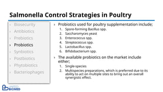 › Biosecurity
› Antibiotics
› Prebiotics
› Probiotics
› Synbiotics
› Postbiotics
› Phytobiotics
› Bacteriophages
› Probiotics used for poultry supplementation include;
1. Spore-forming Bacillus spp.
2. Saccharomyces yeast
3. Enterococcus spp.
4. Streptococcus spp.
5. Lactobacillus spp.
6. Bifidobacterium spp.
› The available probiotics on the market include
either;
1. Single-species
2. Multispecies preparations, which is preferred due to its
ability to act on multiple sites to bring out an overall
synergistic effect.
Salmonella Control Strategies in Poultry
 