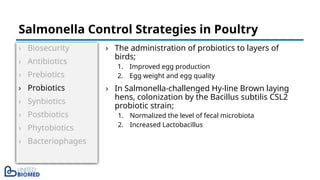 › Biosecurity
› Antibiotics
› Prebiotics
› Probiotics
› Synbiotics
› Postbiotics
› Phytobiotics
› Bacteriophages
› The administration of probiotics to layers of
birds;
1. Improved egg production
2. Egg weight and egg quality
› In Salmonella-challenged Hy-line Brown laying
hens, colonization by the Bacillus subtilis CSL2
probiotic strain;
1. Normalized the level of fecal microbiota
2. Increased Lactobacillus
Salmonella Control Strategies in Poultry
 