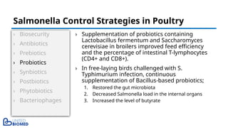 › Biosecurity
› Antibiotics
› Prebiotics
› Probiotics
› Synbiotics
› Postbiotics
› Phytobiotics
› Bacteriophages
› Supplementation of probiotics containing
Lactobacillus fermentum and Saccharomyces
cerevisiae in broilers improved feed efficiency
and the percentage of intestinal T-lymphocytes
(CD4+ and CD8+).
› In free-laying birds challenged with S.
Typhimurium infection, continuous
supplementation of Bacillus-based probiotics;
1. Restored the gut microbiota
2. Decreased Salmonella load in the internal organs
3. Increased the level of butyrate
Salmonella Control Strategies in Poultry
 