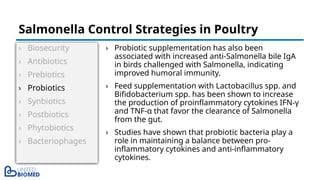 › Biosecurity
› Antibiotics
› Prebiotics
› Probiotics
› Synbiotics
› Postbiotics
› Phytobiotics
› Bacteriophages
› Probiotic supplementation has also been
associated with increased anti-Salmonella bile IgA
in birds challenged with Salmonella, indicating
improved humoral immunity.
› Feed supplementation with Lactobacillus spp. and
Bifidobacterium spp. has been shown to increase
the production of proinflammatory cytokines IFN-γ
and TNF-α that favor the clearance of Salmonella
from the gut.
› Studies have shown that probiotic bacteria play a
role in maintaining a balance between pro-
inflammatory cytokines and anti-inflammatory
cytokines.
Salmonella Control Strategies in Poultry
 