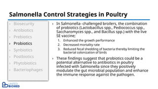 › Biosecurity
› Antibiotics
› Prebiotics
› Probiotics
› Synbiotics
› Postbiotics
› Phytobiotics
› Bacteriophages
› In Salmonella- challenged broilers, the combination
of probiotics (Lactobacillus spp., Pediococcus spp.,
Saccharomyces spp., and Bacillus spp.) with the live
SE vaccine;
1. Enhanced the growth performance
2. Decreased mortality rate
3. Reduced fecal shedding of bacteria thereby limiting the
bacterial colonization of birds
› These findings suggest that probiotics could be a
potential alternative to antibiotics in poultry
infected with Salmonella since they positively
modulate the gut microbial population and enhance
the immune response against the pathogen.
Salmonella Control Strategies in Poultry
 
