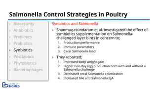 › Biosecurity
› Antibiotics
› Prebiotics
› Probiotics
› Synbiotics
› Postbiotics
› Phytobiotics
› Bacteriophages
Synbiotics and Salmonella
› Shanmugasundaram et al. investigated the effect of
symbiotics supplementation on Salmonella-
challenged layer birds in concern to;
1. Production performance
2. Immune parameters
3. Cecal Salmonella load
› They reported;
1. Improved body weight gain
2. Higher hen-day egg production both with and without a
Salmonella challenge
3. Decreased cecal Salmonella colonization
4. Increased bile anti-Salmonella IgA
Salmonella Control Strategies in Poultry
 