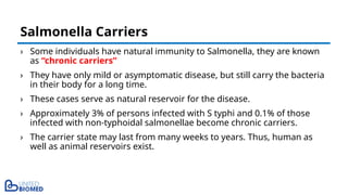 › Some individuals have natural immunity to Salmonella, they are known
as “chronic carriers”
› They have only mild or asymptomatic disease, but still carry the bacteria
in their body for a long time.
› These cases serve as natural reservoir for the disease.
› Approximately 3% of persons infected with S typhi and 0.1% of those
infected with non-typhoidal salmonellae become chronic carriers.
› The carrier state may last from many weeks to years. Thus, human as
well as animal reservoirs exist.
Salmonella Carriers
 