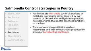 › Biosecurity
› Antibiotics
› Prebiotics
› Probiotics
› Synbiotics
› Postbiotics
› Phytobiotics
› Bacteriophages
› Postbiotics are non-viable bacterial products or
metabolic byproducts, either secreted by live
bacteria or derived after cell lysis from probiotic
microorganisms, that confer beneficial functions
on the host.
› The most common postbiotics used are
metabolites and their combinations produced by
strains of Lactobacillus plantarum.
Salmonella Control Strategies in Poultry
 