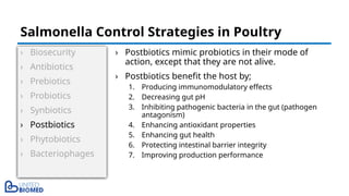 › Biosecurity
› Antibiotics
› Prebiotics
› Probiotics
› Synbiotics
› Postbiotics
› Phytobiotics
› Bacteriophages
› Postbiotics mimic probiotics in their mode of
action, except that they are not alive.
› Postbiotics benefit the host by;
1. Producing immunomodulatory effects
2. Decreasing gut pH
3. Inhibiting pathogenic bacteria in the gut (pathogen
antagonism)
4. Enhancing antioxidant properties
5. Enhancing gut health
6. Protecting intestinal barrier integrity
7. Improving production performance
Salmonella Control Strategies in Poultry
 