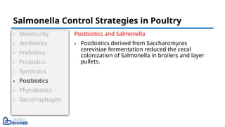 › Biosecurity
› Antibiotics
› Prebiotics
› Probiotics
› Synbiotics
› Postbiotics
› Phytobiotics
› Bacteriophages
Postbiotics and Salmonella
› Postbiotics derived from Saccharomyces
cerevisiae fermentation reduced the cecal
colonization of Salmonella in broilers and layer
pullets.
Salmonella Control Strategies in Poultry
 