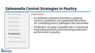 › Biosecurity
› Antibiotics
› Prebiotics
› Probiotics
› Synbiotics
› Postbiotics
› Phytobiotics
› Bacteriophages
Conclusion
› As antibiotic resistance becomes a growing
concern, postbiotics are a potential alternative
for combating enteric pathogens like Salmonella.
› Postbiotics can play a valuable role in enhancing
food safety practices and improving production
performance in poultry.
Salmonella Control Strategies in Poultry
 