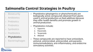 › Biosecurity
› Antibiotics
› Prebiotics
› Probiotics
› Synbiotics
› Postbiotics
› Phytobiotics
› Bacteriophages
› Phytobiotics (phytogenics or phytochemicals) are
biologically active compounds obtained from plants
used in animal production as feed additives because
they offer health benefits and promote growth in
animal production.
› Phytobiotics include;
1. Saponins
2. Flavonoids
3. Terpenoids
4. Alkaloid
› These compounds are reported to have antioxidant,
antiviral, antimicrobial, anticoccidial, anti-parasitic,
immunomodulatory, anti-inflammatory, and endocrine
stimulatory activities.
Salmonella Control Strategies in Poultry
 
