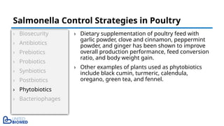 › Biosecurity
› Antibiotics
› Prebiotics
› Probiotics
› Synbiotics
› Postbiotics
› Phytobiotics
› Bacteriophages
› Dietary supplementation of poultry feed with
garlic powder, clove and cinnamon, peppermint
powder, and ginger has been shown to improve
overall production performance, feed conversion
ratio, and body weight gain.
› Other examples of plants used as phytobiotics
include black cumin, turmeric, calendula,
oregano, green tea, and fennel.
Salmonella Control Strategies in Poultry
 