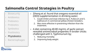 › Biosecurity
› Antibiotics
› Prebiotics
› Probiotics
› Synbiotics
› Postbiotics
› Phytobiotics
› Bacteriophages
› Ziheng et al. found that oregano essential oil
(OEO) supplementation in drinking water;
1. Could inhibit and treat infection by S. Pullorum and S.
Gallinarum in commercial yellow-chicken breeders.
2. Was more effective in preventing infection than the
treatment.
› A diet containing 40-80 mg/mL of garlic extract
revealed antimicrobial properties in broiler chicks
challenged with S. Typhimurium by;
1. Reducing mortality
2. Improving body weight
Salmonella Control Strategies in Poultry
 
