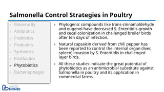 › Biosecurity
› Antibiotics
› Prebiotics
› Probiotics
› Synbiotics
› Postbiotics
› Phytobiotics
› Bacteriophages
› Phytogenic compounds like trans-cinnamaldehyde
and eugenol have decreased S. Enteritidis growth
and cecal colonization in challenged broiler birds
after ten days of infection.
› Natural capsaicin derived from chili pepper has
been reported to control the internal organ (liver,
spleen) invasion by S. Enteritidis in challenged
layer birds.
› All these studies indicate the great potential of
phytobiotics as an antimicrobial substitute against
Salmonella in poultry and its application in
commercial farms.
Salmonella Control Strategies in Poultry
 