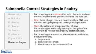 › Biosecurity
› Antibiotics
› Prebiotics
› Probiotics
› Synbiotics
› Postbiotics
› Phytobiotics
› Bacteriophages
› Bacteriophages are viruses that infect bacteria and use
the host machinery to proliferate inside the host cell.
› First, these phages (viruses) penetrate their DNA into
the host cell (lysogenic) and undergo multiplication.
› Then, the release of a large number of new
bacteriophages, eventually leading to the lysis of the
bacterium to release the progeny bacteriophages.
› Bacteriophages are used as alternatives to antibiotics
because they are;
1. Target specific
2. Less allergic side effects
3. Harmlessness to the host’s normal flora
Salmonella Control Strategies in Poultry
 