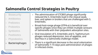 › Biosecurity
› Antibiotics
› Prebiotics
› Probiotics
› Synbiotics
› Postbiotics
› Phytobiotics
› Bacteriophages
› The administration of CTCBIO phage significantly
reduced the S. Enteritidis load in the cloacal swab,
liver, and spleen in broilers that are challenged with S.
Enteritidis.
› Broad-host-range phage (STP4-a) is beneficial over
specific phages since they can inhibit multiple serovars
of Salmonella with their polyvalent adsorption sites.
› Oral inoculation of S. Enteritidis and S. Typhimurium
phages reduced depression, loss of appetite, and
diarrhea in a Salmonella challenge model.
› There is a significant decrease in the cecal colonization
of Salmonella 7–15 days post-administration of phages
in infected chicks.
Salmonella Control Strategies in Poultry
 
