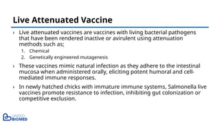 › Live attenuated vaccines are vaccines with living bacterial pathogens
that have been rendered inactive or avirulent using attenuation
methods such as;
1. Chemical
2. Genetically engineered mutagenesis
› These vaccines mimic natural infection as they adhere to the intestinal
mucosa when administered orally, eliciting potent humoral and cell-
mediated immune responses.
› In newly hatched chicks with immature immune systems, Salmonella live
vaccines promote resistance to infection, inhibiting gut colonization or
competitive exclusion.
Live Attenuated Vaccine
 