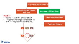 Live Attenuated Vaccines
Empirical Attenuation
Methods
Attenuated Mutations
Metabolic functions
Virulence factors
Deletion
• A gene or part of it is knocked out.
• The gene is no longer transcribed, no
RNA and no protein is synthesized.
A B C
A C
 