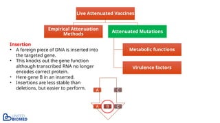 Live Attenuated Vaccines
Empirical Attenuation
Methods
Attenuated Mutations
Metabolic functions
Virulence factors
Insertion
• A foreign piece of DNA is inserted into
the targeted gene.
• This knocks out the gene function
although transcribed RNA no longer
encodes correct protein.
• Here gene B in an inserted.
• Insertions are less stable than
deletions, but easier to perform. A C
A C
B
 