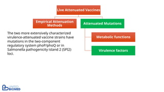 Live Attenuated Vaccines
Empirical Attenuation
Methods
Attenuated Mutations
Metabolic functions
Virulence factors
The two more extensively characterized
virulence-attenuated vaccine strains have
mutations in the two-component
regulatory system phoP/phoQ or in
Salmonella pathogenicity island 2 (SPI2)
loci.
 