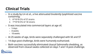 › In a study by Lin et al., a live attenuated bivalently lyophilized vaccine
containing;
1. 6*10^8 CFU of ST strains
2. 1*10^8 CFU of SE strains
› It was inoculated into commercial layers at age of;
– 5 days
– 8 weeks
– 18 weeks
› At 25 weeks of age, birds were separately challenged with SE and ST
› 14 days-post-challenge, birds were humanely euthanized.
› Both vaccines successfully eliminated cloacal Salmonella shedding, as
observed from cloacal swabs collected on days 7 and 14 post-challenge.
Clinical Trials
 