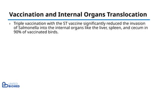 › Triple vaccination with the ST vaccine significantly reduced the invasion
of Salmonella into the internal organs like the liver, spleen, and cecum in
90% of vaccinated birds.
Vaccination and Internal Organs Translocation
 