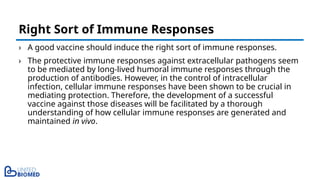 › A good vaccine should induce the right sort of immune responses.
› The protective immune responses against extracellular pathogens seem
to be mediated by long-lived humoral immune responses through the
production of antibodies. However, in the control of intracellular
infection, cellular immune responses have been shown to be crucial in
mediating protection. Therefore, the development of a successful
vaccine against those diseases will be facilitated by a thorough
understanding of how cellular immune responses are generated and
maintained in vivo.
Right Sort of Immune Responses
 
