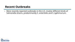 › More recently reported outbreaks in the U.S. involve different kinds of
Salmonella strains, predominantly S. enteritidis and S. typhimurium.
Recent Outbreaks
 
