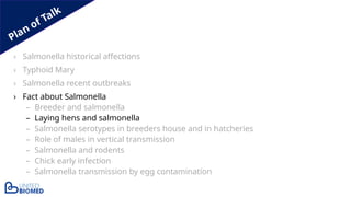 Plan of Talk
› Salmonella historical affections
› Typhoid Mary
› Salmonella recent outbreaks
› Fact about Salmonella
– Breeder and salmonella
– Laying hens and salmonella
– Salmonella serotypes in breeders house and in hatcheries
– Role of males in vertical transmission
– Salmonella and rodents
– Chick early infection
– Salmonella transmission by egg contamination
 