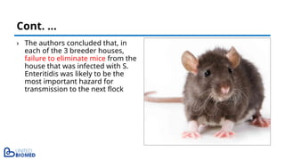 › The authors concluded that, in
each of the 3 breeder houses,
failure to eliminate mice from the
house that was infected with S.
Enteritidis was likely to be the
most important hazard for
transmission to the next flock
Cont. …
 