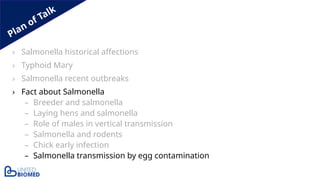 Plan of Talk
› Salmonella historical affections
› Typhoid Mary
› Salmonella recent outbreaks
› Fact about Salmonella
– Breeder and salmonella
– Laying hens and salmonella
– Role of males in vertical transmission
– Salmonella and rodents
– Chick early infection
– Salmonella transmission by egg contamination
 
