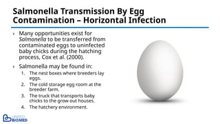 › Many opportunities exist for
Salmonella to be transferred from
contaminated eggs to uninfected
baby chicks during the hatching
process, Cox et al. (2000).
› Salmonella may be found in:
1. The nest boxes where breeders lay
eggs.
2. The cold storage egg room at the
breeder farm.
3. The truck that transports baby
chicks to the grow out houses.
4. The hatchery environment.
Salmonella Transmission By Egg
Contamination – Horizontal Infection
 
