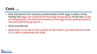 › One mechanism for natural contamination of the eggs is when moist,
freshly laid eggs are cooled from the body temperature of the hen to the
air temperature, the internal contents of the egg shrink, pulling bacteria
into the shell through pores …
› Once transferred
› Salmonella is carried on the surface of the shell or just beneath the shell
if it is able to penetrate the shell.
Cont. …
 