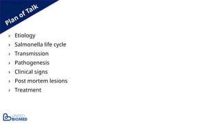 Plan of Talk
› Etiology
› Salmonella life cycle
› Transmission
› Pathogenesis
› Clinical signs
› Post mortem lesions
› Treatment
 