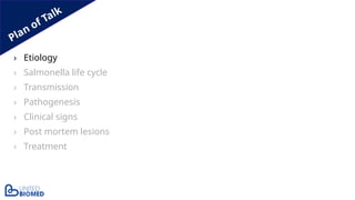 Plan of Talk
› Etiology
› Salmonella life cycle
› Transmission
› Pathogenesis
› Clinical signs
› Post mortem lesions
› Treatment
 
