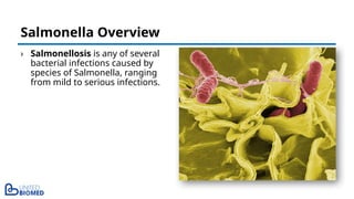 › Salmonellosis is any of several
bacterial infections caused by
species of Salmonella, ranging
from mild to serious infections.
Salmonella Overview
 