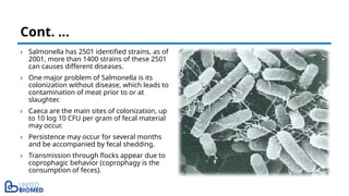 › Salmonella has 2501 identified strains, as of
2001, more than 1400 strains of these 2501
can causes different diseases.
› One major problem of Salmonella is its
colonization without disease, which leads to
contamination of meat prior to or at
slaughter.
› Caeca are the main sites of colonization, up
to 10 log 10 CFU per gram of fecal material
may occur.
› Persistence may occur for several months
and be accompanied by fecal shedding.
› Transmission through flocks appear due to
coprophagic behavior (coprophagy is the
consumption of feces).
Cont. …
 