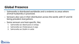 › Salmonella is distributed worldwide and is endemic to areas where
animal husbandry is practiced.
› Serovars also vary in their distribution across the world, with ST and SE
being prevalent everywhere.
› Some serovars are host-specific, like;
1. Salmonella ser. Abortusovis in sheep
2. Salmonella ser. Choleraesuis in pigs
3. Salmonella ser. Dublin in cattle
Global Presence
 