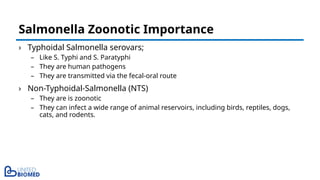 › Typhoidal Salmonella serovars;
– Like S. Typhi and S. Paratyphi
– They are human pathogens
– They are transmitted via the fecal-oral route
› Non-Typhoidal-Salmonella (NTS)
– They are is zoonotic
– They can infect a wide range of animal reservoirs, including birds, reptiles, dogs,
cats, and rodents.
Salmonella Zoonotic Importance
 