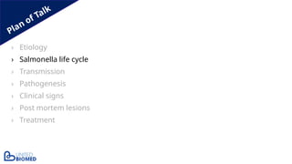 Plan of Talk
› Etiology
› Salmonella life cycle
› Transmission
› Pathogenesis
› Clinical signs
› Post mortem lesions
› Treatment
 