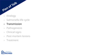 Plan of Talk
› Etiology
› Salmonella life cycle
› Transmission
› Pathogenesis
› Clinical signs
› Post mortem lesions
› Treatment
 