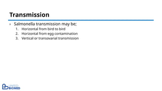 › Salmonella transmission may be;
1. Horizontal from bird to bird
2. Horizontal from egg contamination
3. Vertical or transovarial transmission
Transmission
 