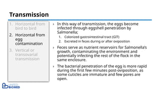 1. Horizontal from
bird to bird
2. Horizontal from
egg
contamination
3. Vertical or
transovarial
transmission
› In this way of transmission, the eggs become
infected through eggshell penetration by
Salmonella;
1. Colonized gastrointestinal tract (GIT)
2. Excreted in feces during or after oviposition
› Feces serve as nutrient reservoirs for Salmonella’s
growth, contaminating the environment and
potentially infecting the rest of the flock in the
same enclosure.
› The bacterial penetration of the egg is more rapid
during the first few minutes post-oviposition, as
some cuticles are immature and few pores are
open.
Transmission
 
