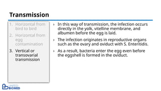 1. Horizontal from
bird to bird
2. Horizontal from
egg
contamination
3. Vertical or
transovarial
transmission
› In this way of transmission, the infection occurs
directly in the yolk, vitelline membrane, and
albumen before the egg is laid.
› The infection originates in reproductive organs
such as the ovary and oviduct with S. Enteritidis.
› As a result, bacteria enter the egg even before
the eggshell is formed in the oviduct.
Transmission
 