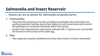 › Insects can act as vectors for Salmonella on poultry farms.
1. Cockroaches
– They have the potential to introduce foodborne pathogens like Salmonella into
poultry production facilities due to their ability to cross-contaminate and transmit
the pathogen to uninfected individuals within their group.
– Studies have indicated that cockroaches infected with S. Typhimurium can transfer
the bacteria to the surface of the table egg.
2. Flies
– Flies captured in poultry establishments have been shown to harbor Salmonella.
Salmonella and Insect Reservoir
 