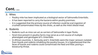 3. Mites
– Poultry mite has been implicated as a biological vector of Salmonella Enteritidis.
– It has been reported to carry the bacteria within poultry premises.
– It is suggested that the primary source of infection could be oral ingestion of
crushed contaminated mites by the chicks, as well as the mite’s blood meal.
4. Rodents
– Rodents such as mice can act as carriers of Salmonella in layer flocks.
– Feral mice present in poultry farms may serve as a rich source of multiple
phenotypes and genotypes of S. Enteritidis.
– In African countries, S. Kentucky and S. Enteritidis were the major serovars isolated
from lizards and rodents inhabiting the poultry houses. It is hypothesized that the
feces of lizards and rodents could contaminate the feed and litter, posing a
biosecurity threat.
Cont. …
 