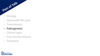 Plan of Talk
› Etiology
› Salmonella life cycle
› Transmission
› Pathogenesis
› Clinical signs
› Post mortem lesions
› Treatment
 