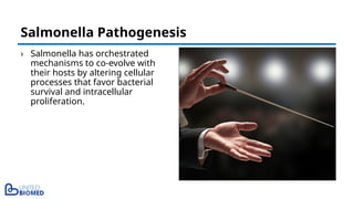 › Salmonella has orchestrated
mechanisms to co-evolve with
their hosts by altering cellular
processes that favor bacterial
survival and intracellular
proliferation.
Salmonella Pathogenesis
 