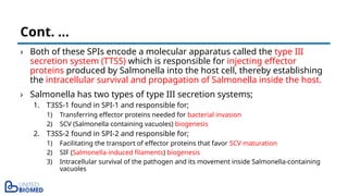 › Both of these SPIs encode a molecular apparatus called the type III
secretion system (TTSS) which is responsible for injecting effector
proteins produced by Salmonella into the host cell, thereby establishing
the intracellular survival and propagation of Salmonella inside the host.
› Salmonella has two types of type III secretion systems;
1. T3SS-1 found in SPI-1 and responsible for;
1) Transferring effector proteins needed for bacterial invasion
2) SCV (Salmonella containing vacuoles) biogenesis
2. T3SS-2 found in SPI-2 and responsible for;
1) Facilitating the transport of effector proteins that favor SCV maturation
2) SIF (Salmonella-induced filaments) biogenesis
3) Intracellular survival of the pathogen and its movement inside Salmonella-containing
vacuoles
Cont. …
 