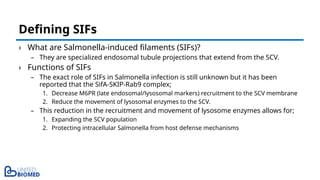 › What are Salmonella-induced filaments (SIFs)?
– They are specialized endosomal tubule projections that extend from the SCV.
› Functions of SIFs
– The exact role of SIFs in Salmonella infection is still unknown but it has been
reported that the SifA-SKIP-Rab9 complex;
1. Decrease M6PR (late endosomal/lysosomal markers) recruitment to the SCV membrane
2. Reduce the movement of lysosomal enzymes to the SCV.
– This reduction in the recruitment and movement of lysosome enzymes allows for;
1. Expanding the SCV population
2. Protecting intracellular Salmonella from host defense mechanisms
Defining SIFs
 