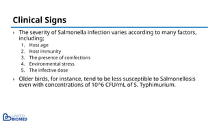 › The severity of Salmonella infection varies according to many factors,
including;
1. Host age
2. Host immunity
3. The presence of coinfections
4. Environmental stress
5. The infective dose
› Older birds, for instance, tend to be less susceptible to Salmonellosis
even with concentrations of 10^6 CFU/mL of S. Typhimurium.
Clinical Signs
 